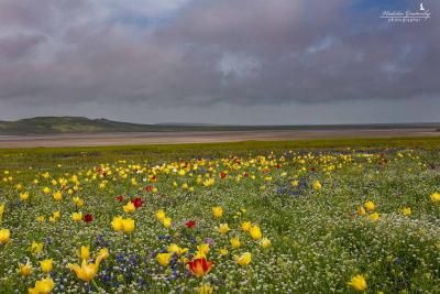 Прикрепленное изображение: IMG_4711.jpg